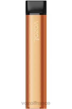 VOZOL Avis - VOZOL SWITCH 600 glace à la mangue 8J882226