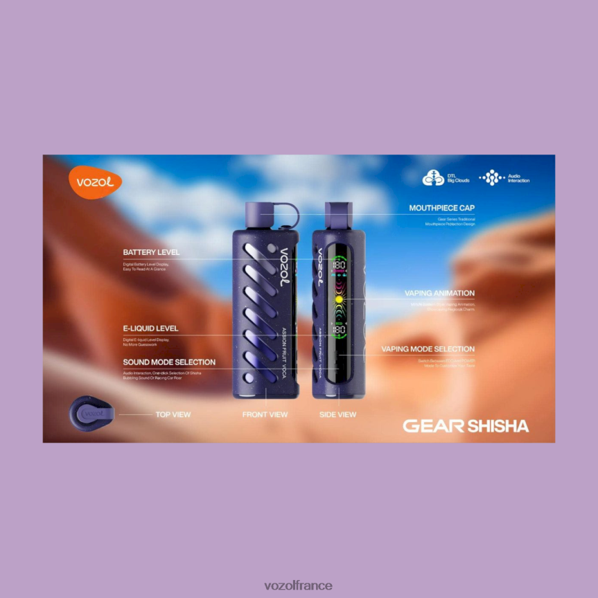 VOZOL France - VOZOL engrenage chicha 25000 JB4B2P1