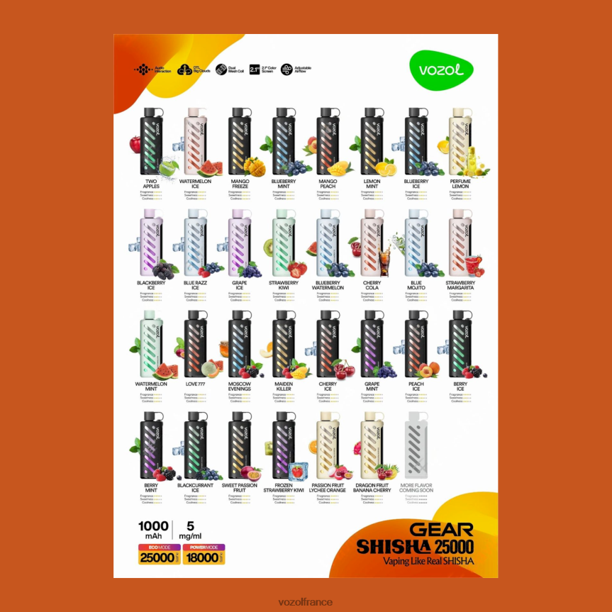 VOZOL France - VOZOL engrenage chicha 25000 JB4B2P1