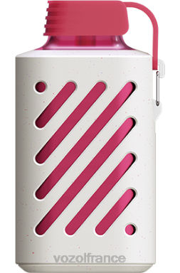 VOZOL France - VOZOL GEAR 10000 glace à la pêche 8J882301