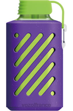 VOZOL Rechargeable - VOZOL GEAR 10000 glace aux myrtilles 8J882315