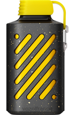 VOZOL Rechargeable - VOZOL GEAR 10000 kiwi fruit de la passion goyave 8J882295