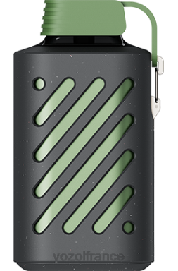 VOZOL Vape Avis - VOZOL GEAR 10000 glace luxuriante 8J882297