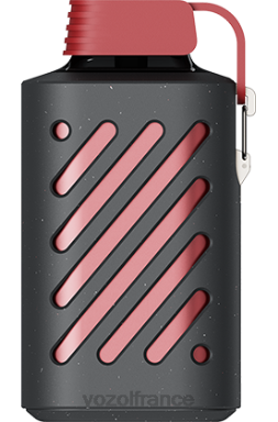 VOZOL Vape Avis - VOZOL GEAR 10000 mojito rouge 8J882307