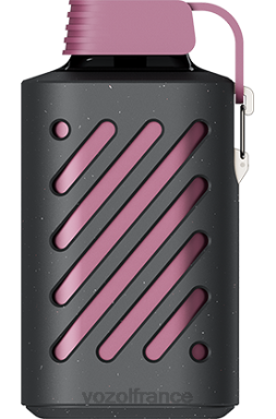 VOZOL Vape Shop - VOZOL GEAR 10000 fruit de la passion framboise mandarine 8J882300