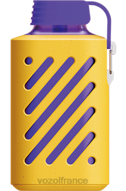 VOZOL Vape Store - VOZOL GEAR 10000 Baies mélangées 8J882299