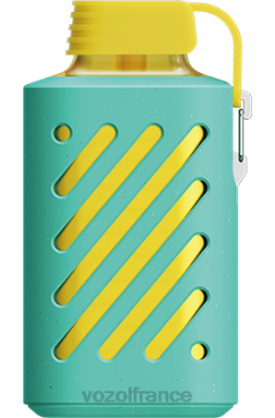 VOZOL Vape Store - VOZOL GEAR 10000 double pomme 8J882289