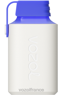 VOZOL Avis - VOZOL GEAR 600 citron bleu razz 8J882346