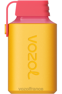 VOZOL France - VOZOL GEAR 600 kiwi fruit de la passion goyave 8J882351