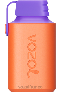 VOZOL Paris - VOZOL GEAR 600 litchi goyave pastèque 8J882353