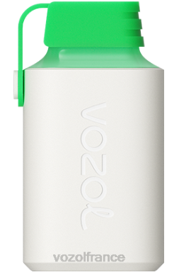 VOZOL Vape Store - VOZOL GEAR 600 glace à la pastèque 8J882359