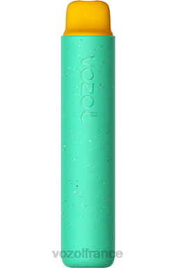 VOZOL Rechargeable - VOZOL STAR 2000 ours gommeux 8J882155