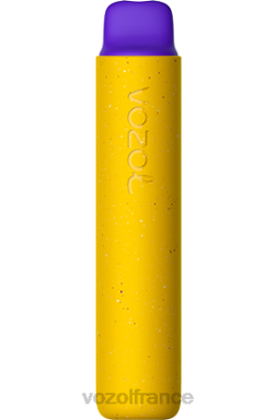 VOZOL Vape Store - VOZOL STAR 2000 glace à la mangue 8J882159