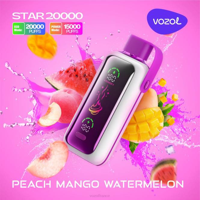 VOZOL Avis - VOZOL STAR 20000 pêche, mangue, pastèque BZ6816