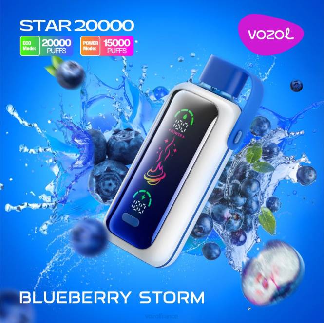 VOZOL Rechargeable - VOZOL STAR 20000 tempête de bleuets BZ685