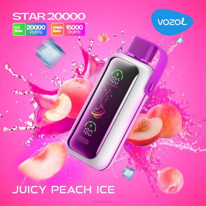 VOZOL Vape Shop - VOZOL STAR 20000 glace à la pêche juteuse BZ6810