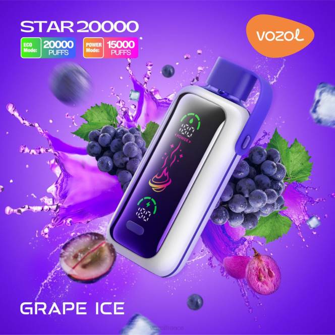 VOZOL Vape Store - VOZOL STAR 20000 glace aux raisins BZ689