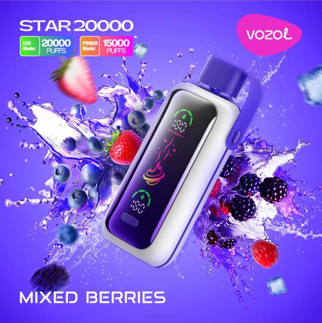 VOZOL Vape - VOZOL STAR 20000 baies mélangées BZ6814