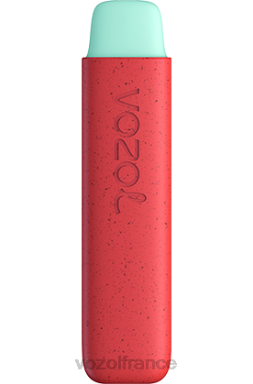 VOZOL Prix - VOZOL STAR 550 pêche aux pommes 8J882138