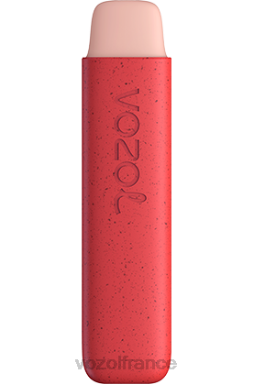VOZOL Rechargeable - VOZOL STAR 550 glace à la fraise 8J882145