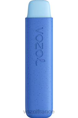 VOZOL Vape Shop - VOZOL STAR 550 glace bleue 8J882140