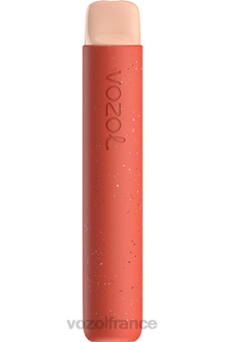 VOZOL Rechargeable - VOZOL STAR 600 glace à la fraise 8J88295