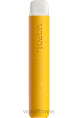 VOZOL Vape France - VOZOL STAR 600 glace à la banane 8J88272
