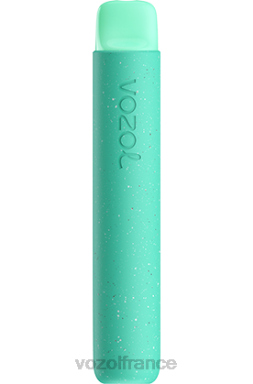 VOZOL Vape France - VOZOL STAR 600 menthe verte 8J88292