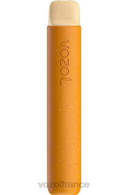 VOZOL Vape - VOZOL STAR 600 fraise banane 8J88294