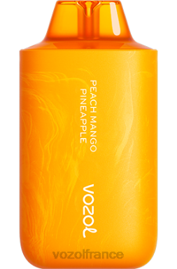 VOZOL Paris - VOZOL STAR 6000/8000v2 pêche mangue ananas 8J88263