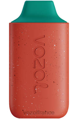 VOZOL France - VOZOL STAR 6000 pastèque fruit du dragon 8J882111