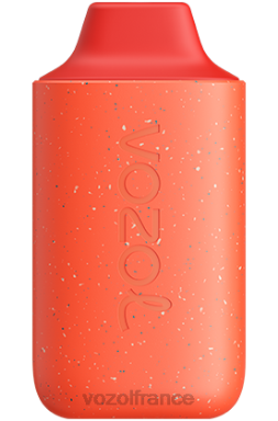 VOZOL Paris - VOZOL STAR 6000 sang de tigre 8J882133