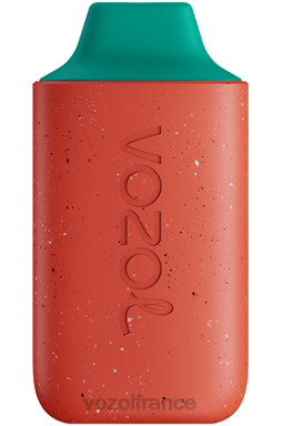 VOZOL Vape Avis - VOZOL STAR 6000 litchi goyave pastèque 8J882117