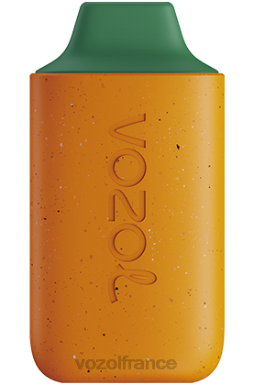 VOZOL Vape Shop - VOZOL STAR 6000 mangue pêche pastèque 8J882120
