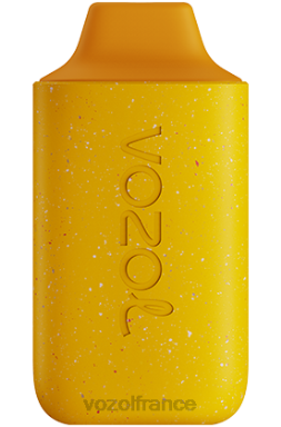 VOZOL Vape Store - VOZOL STAR 6000 mangue pêche ananas 8J882119
