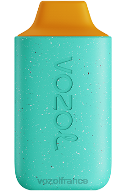 VOZOL Vape - VOZOL STAR 6000 punch au miel 8J882114