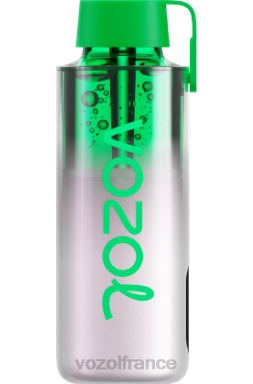 VOZOL Prix - VOZOL NEON 10000 glace à la pomme aigre 8J882238