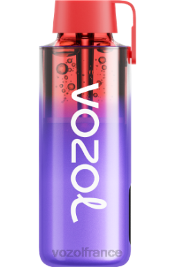 VOZOL Vape France - VOZOL NEON 10000 glace aux mûres 8J882242