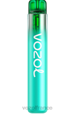 VOZOL Avis - VOZOL NEON 800 myrtille, framboise aigre 8J882246