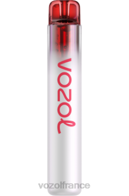 VOZOL France - VOZOL NEON 800 pêche aux pommes 8J882261