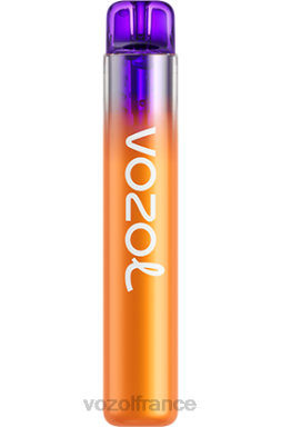 VOZOL Paris - VOZOL NEON 800 pêche, mangue, pastèque 8J882253
