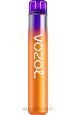 VOZOL Rechargeable - VOZOL NEON 800 fruit de la passion citron 8J882275
