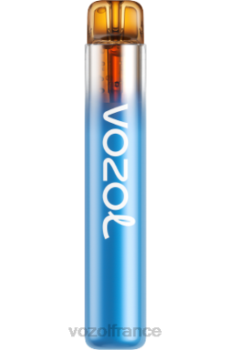 VOZOL Vape Shop - VOZOL NEON 800 tempête de baies forestières 8J882270