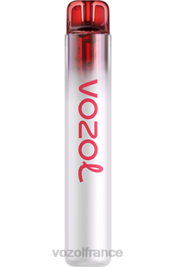 VOZOL Vape Store - VOZOL NEON 800 bubble-gum à la pastèque 8J882259