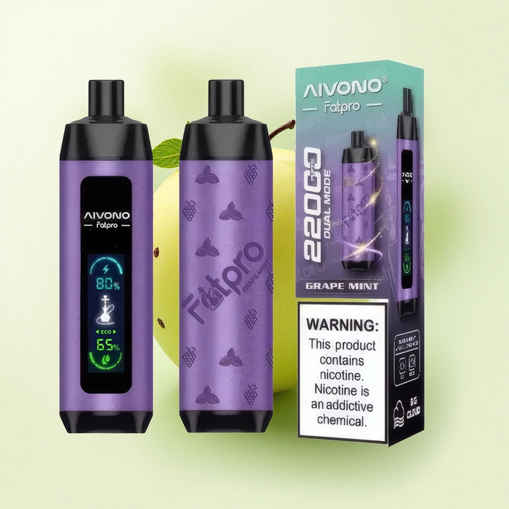 Aivono Aim Fatpro 22000 Menthe Raisin 5% Nicotine 600mAh