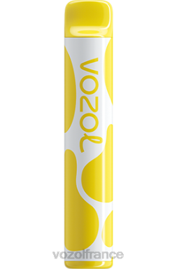 VOZOL Avis - VOZOL JOYGO 600 glace à la banane 8J882376