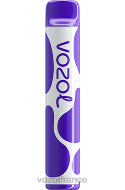 VOZOL Prix - VOZOL JOYGO 600 Baies mélangées 8J882388