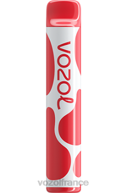 VOZOL Rechargeable - VOZOL JOYGO 600 litchi goyave pastèque 8J882385