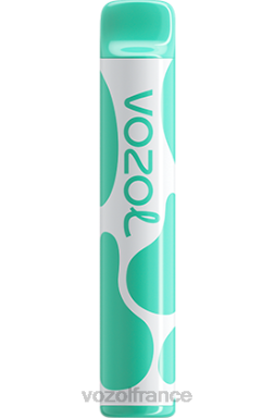VOZOL Vape Avis - VOZOL JOYGO 600 menthol 8J882387