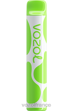 VOZOL Vape Shop - VOZOL JOYGO 600 double pomme 8J882380
